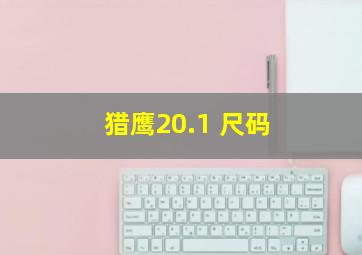 猎鹰20.1 尺码